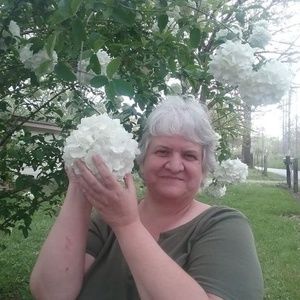 Meet your Posher, Lynn